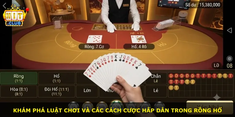 Khám phá luật chơi và các cách cược hấp dẫn trong Rồng Hổ